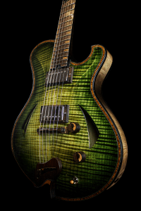 Grasshopper Archtop Guitar