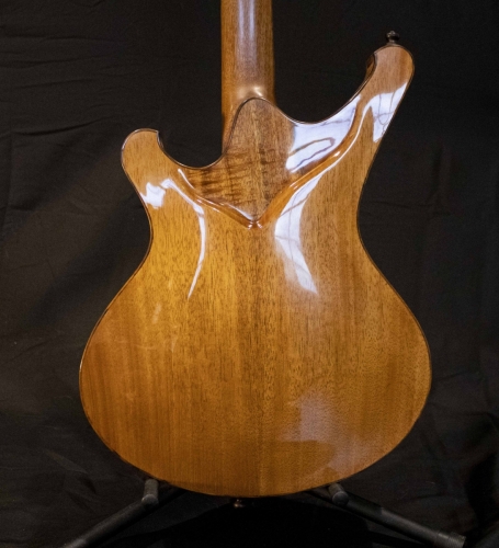 Mantis Guitar Back