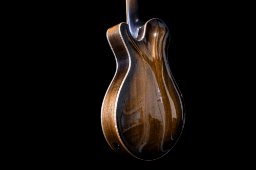 Newill Guitars Grasshopper Archtop Back and Sides