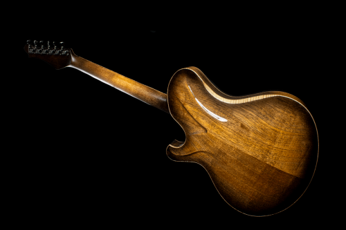 Newill Guitars Grasshopper Archtop Back