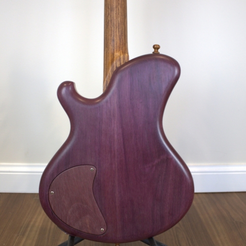 Dragonfly Guitar Back