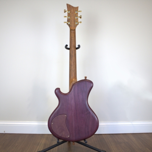 Dragonfly Custom Guitar Back