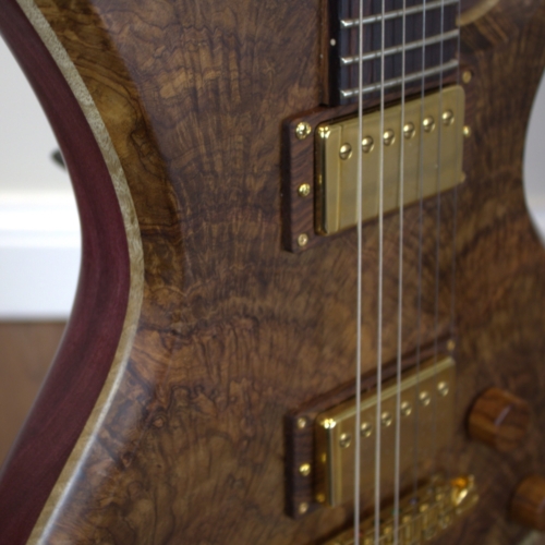 Dragonfly Guitar Front Angled View
