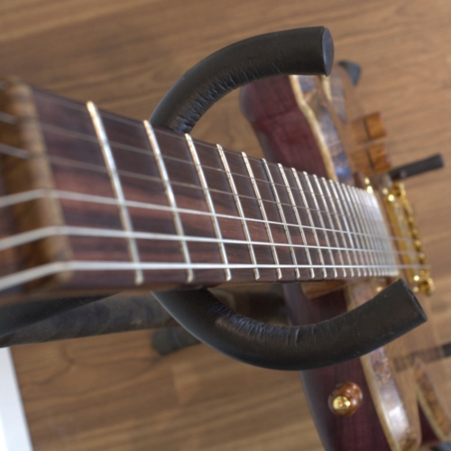 Dragonfly fretboard