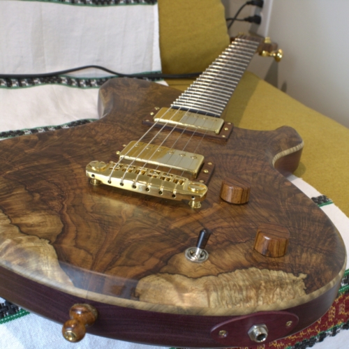 Dragonfly Custom Guitar