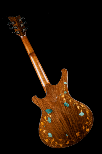 Mantis Hollowbody Back Full Guitar