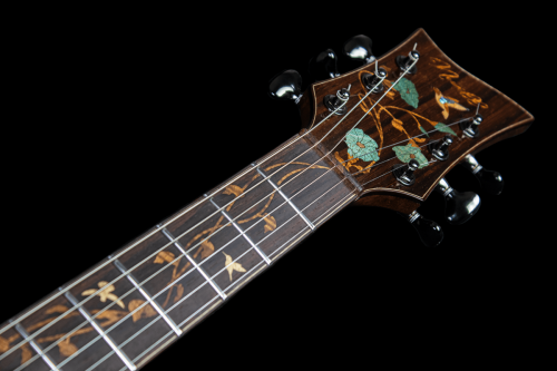 Mantis Hollowbody Headstock and Neck