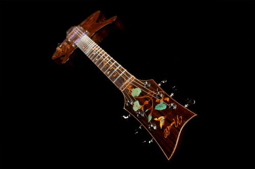 Mantis Hollowbody Perspective Angle