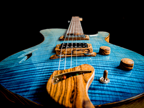Newill Guitars Dragonfly Semi-Hollow Guitar 
