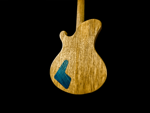 Newill Guitars Dragonfly Semi-Hollow back