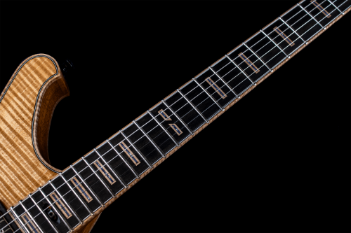 fretboard