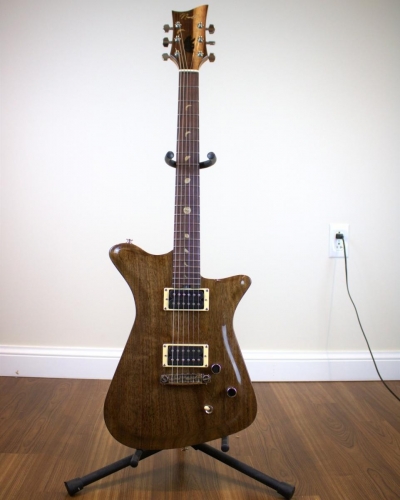 Scorpion Guitar Front