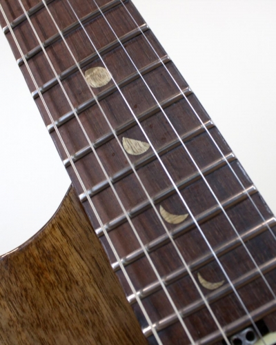 Scorpion Guitar Moons