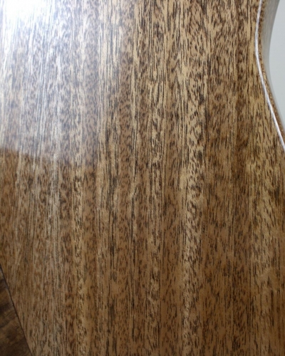 Scorpion Guitar Back