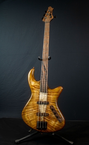 Cicada-4-String-Full-Front