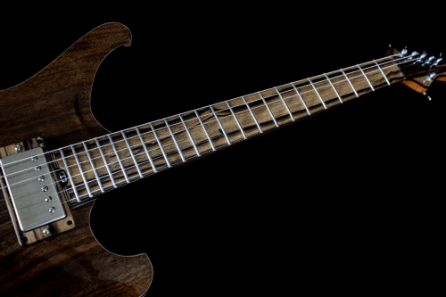 Mockingbird-Archtop-Fretboard