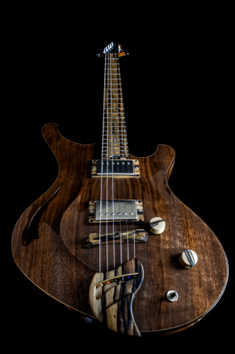 Mockingbird-Archtop-Full-view-angled