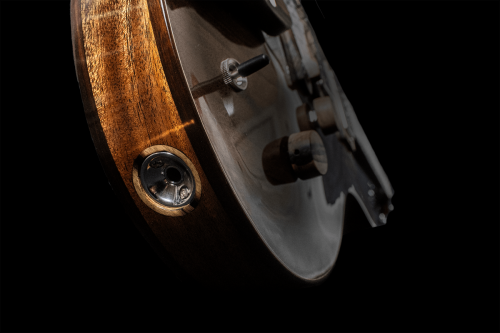 Output-Jack-Mockingbird-Archtop