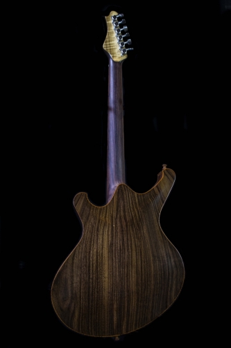 Newill Guitars Mockingbird Archtop Hollowbody