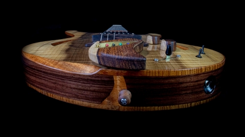 Newill Guitars Mockingbird Archtop Hollowbody